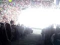 Führungstreffer zum 2:1 Kölner Haie - Adler Mannheim am 11.12.2009