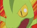 treecko
