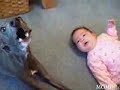 A Dog Imitating A Crying Baby (Hilarious Clip)