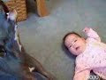 A Dog Imitating A Crying Baby (Hilarious Clip)