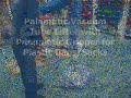 Palamatic Vac Lifter with Pal A Grip Tool