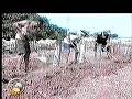 2005 News The Conquest of darkness  2005 Santa Maria Qrendi