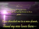 Welcome to my Site of Poetry