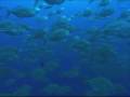 6: Cocos Island - Part Two