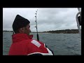 Monster Kingfish from your own Trailer Boat Monster Kingfish from your own Trailer Boat
