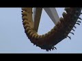 Japan Fujikyu Fuji Q Highlands Pizza La Ride Japan Fujikyu Fuji Q Highlands Pizza La Ride