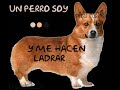 El Columpio Asesino- Yo soy tu nombre