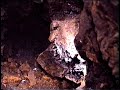 Mineral Cristal Pirolusita El Cercal (Portugal)
