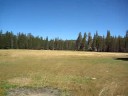 Big Meadow