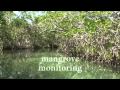 Blue Ventures Belize