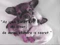 Boldog születésnapot Laci\"ka\"!! Boldog születésnapot Laci\"ka\"!!
