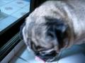 videos de MVI 4850