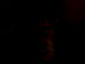 Meg dancing