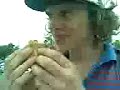 10 PATTY CHEESE BURGER 10 PATTY CHEESE BURGER