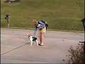 buddy-the-beagle-greets-his-best-friend.html