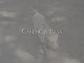 20090823 Canencia