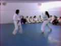 funny karate