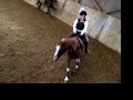 Reitstunde