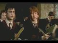 HARRY ... POTTER - EL BANANERO