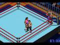 Fire Pro Wrestling 2 - Tag Match of Boredom!