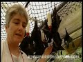 xanadu, a one week old flying fox baby, enjoys the loving care of veterinarian jeanny maclean and animal carer sandra k�hne. also two new babies arrive at the busy hospital: paulie and sophie have to say goodbay to their prior nanny fay. will they adapt to the hundreds of bats that live at the jeanny's hospital?