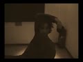 BLUES MOTEL - Street Fighting Man