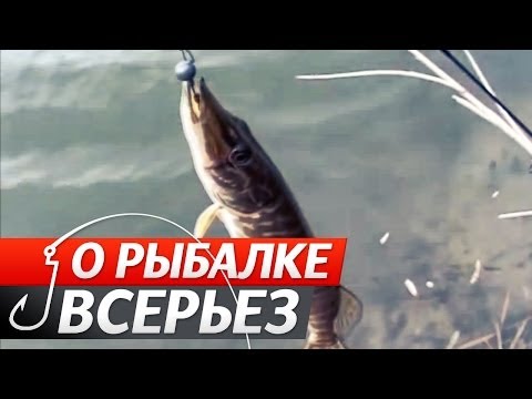 YouTube Трейлер