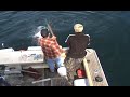 Halibut and Ling Cod Fishing