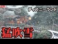 雪景色のディズニーランドレポート (2019年2月9日)