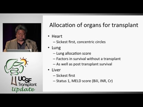 how to be a match for a kidney transplant