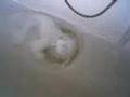 Clogged Sink