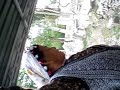 Y�resel Rehber ?ahmeran