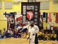 Farbodi,World Cup Karate Eslöv Sweden Sword demonstration