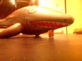 Si shark eats ginger man