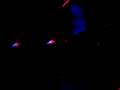 videos de Dir en greyin Dallas, Tx