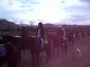Horse riding Horse riding
