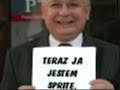 kaczuszki:)