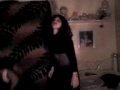 Disturbio das F�nix