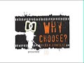 Parallels @ Univ. of Texas, WHY CHOOSE? - Luis Luaro