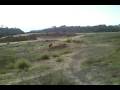 videos de Surf, Skate & Plate Raw Footage: Cousteau and Brian W. downhill BMX at Elings Park