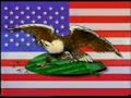 Kort Amerikaans - De Jukebox - 1992