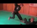 Harimau Singgalang Volume 2