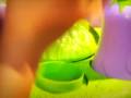 videos de ONDE ESTÁ TINKER BELL? - Toyster Brinquedos