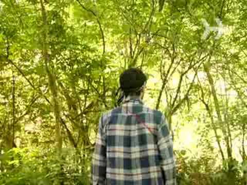 Watch Don`T Go In The Woods Online Hitfix Watch Don`T Go In The Woods Online Hitfix