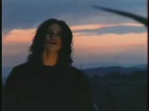 Video de Piedra de Caifanes