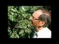 Climate Denial Crock of the Week - How to Pick a Cherry
