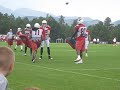 Larry Fitzgerald catch (7/27)