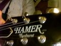 Hamer Sunburst Playin' with Smokey.mov