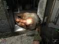 STALKER Oblivion Lost: Lab X18 - Part 2