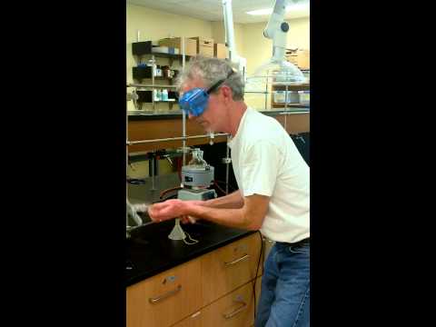 how to isolate eugenol